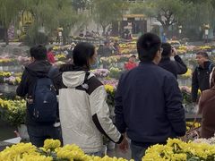 -中国翰园碑林