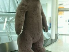 -济州岛泰迪熊博物馆