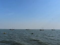 -贡湖湾湿地公园
