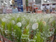 -山姆会员商店(上海浦东店)