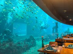 -海棠湾洲际-涛·海底餐厅·美人鱼·自助餐·海底隧道