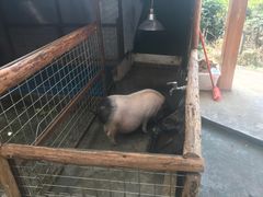 -凯德广场(金牛店)