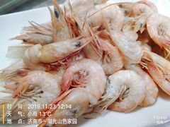 白灼蛎虾-老济南·地道济南菜(大明湖店)