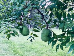 -北京雁栖湖国际会展中心