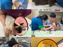 -康成宠物医院24H·CT·核磁共振
