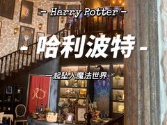 -雪灵魔法世界SHELLY’S TAROT(大良桂畔里店)