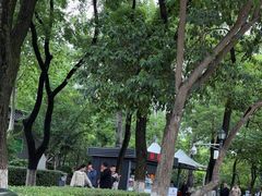 -清真李唯一优质肉丸糊辣汤