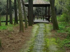 -同里国家湿地公园