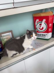 -ChuLian初莲日式美甲美睫