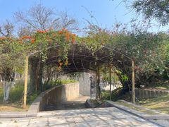 -天鹿湖森林公园