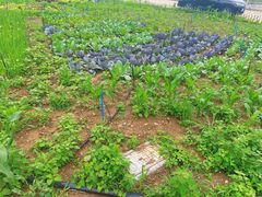 -北马山庄植趣咖啡