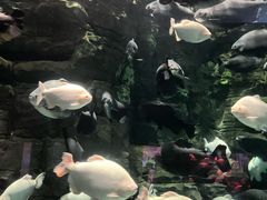 -成都浩海立方海洋公园