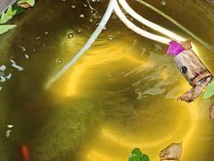 -卧龙堡客栈·中餐厅(古北水镇店)