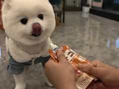 -八公叔叔宠物美容连锁(春申店)