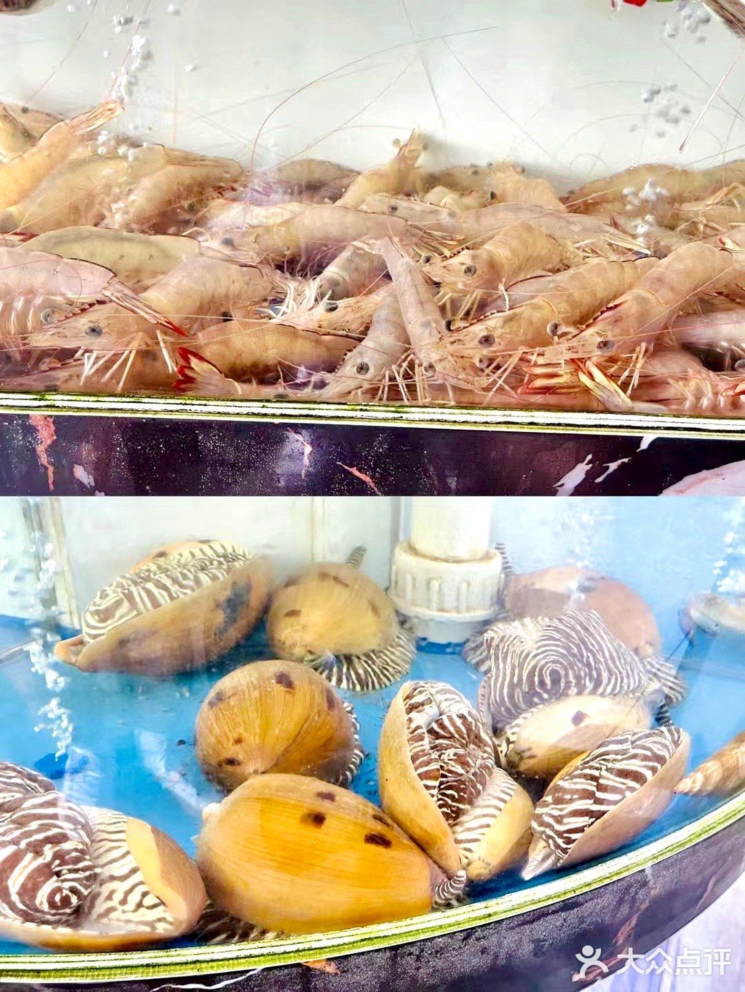 在浯屿岛吃海鲜看日落也太浪漫了吧‼️