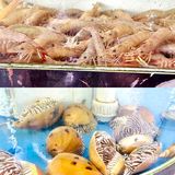 在浯屿岛吃海鲜看日落也太浪漫了吧‼️