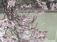 -红星桥(地铁站)