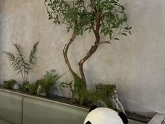 -眉州东坡(翠微印象城店)
