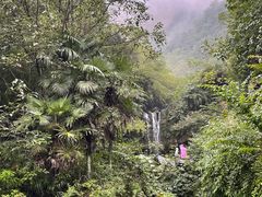 -鹿院坪生态旅游景区