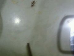 -丰乐斑鱼庄(建业·壹号城邦店)