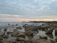 -日照海滨国家森林公园