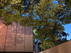 -九里云松·天香餐厅