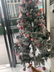 -3AM HAIR SALON染发接发