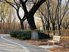 -永定河休闲森林公园