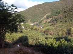 -东白山