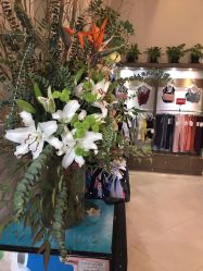 点击看大图 -Y+瑜伽会所