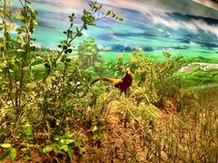 -中国湿地博物馆