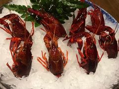 -芥末日本料理(打浦路铂尔曼旗舰店)
