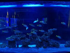 -上和臻品中国菜(花园街店)