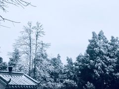 -南岳衡山风景名胜区