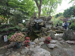 -上海醉白池公园