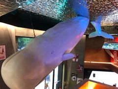-虾胡闹龙虾馆(湄南河店)
