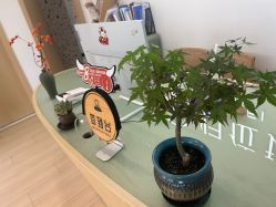 -归位瑜伽＆普拉提馆
