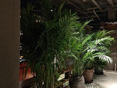 -丹江渔村(首都机场店)
