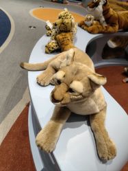 -奈尔宝家庭中心·亲子餐厅(北京东坝万达店)