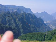 -王莽岭风景区
