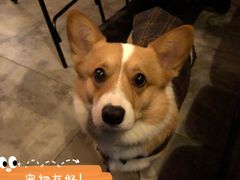 -Side Street街旁(交道口店)