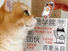 -NOWWA挪瓦咖啡(深铁置业大厦店)