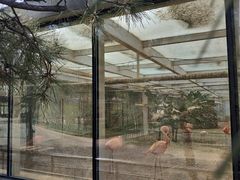 -石家庄市动物园