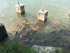 IMG_0112-沈阳植物园