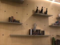 -飞行喵MR PILOT|猫舍·猫咖(静安大融城店)