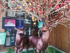 -新白鹿餐厅(城西银泰城店)