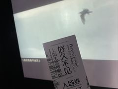 -上海失恋博物馆