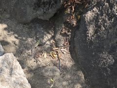 -秦岭终南山世界地质公园翠华山景区