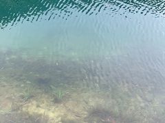 -鼎湖山风景区