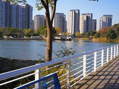 -新江湾城公园